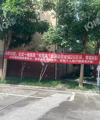 С����������ˣ�20��