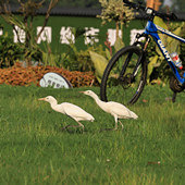 ������İ���