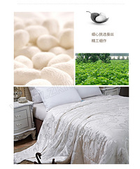 ���ʴ�� ��һ��ò�˿���𣿲�˿�廨���ѵõ��ղ�