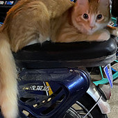 ������������