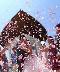 ������t̨�Ϻ����Ļ��� һ��������Ļ��Ƿ���ģ�