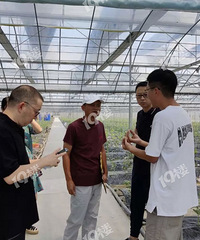 ����������ƽ�����������ˣ�����������