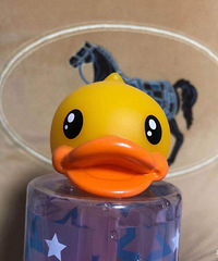 ���Ϳ�ȫ�ݶ��Ʊ������š���ɹ�������Ĩ�ơ�+���������