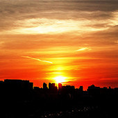 �ѵ����������ճ�