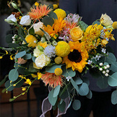 С���µ�����������