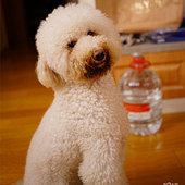 �����ҼҵĹ�