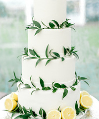 �����յ�������Ľ�鵰�� �ļҿ������ģ���ͼ