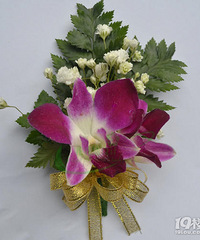 ���ֻ�����װ�β����ӵ�����ô������ڻ����������ػ�