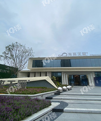 �ͳ��۵�δ��   ���ģ�   ���⣡���ơ�δ���쳽Է