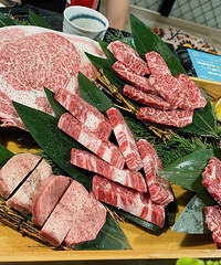 �����ʽ�������������ŵ�һ��