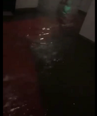 ���������� ����ĳ¥�̵��³���ˮ����ɽ��