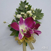 װ�β����ӵ��ػ�