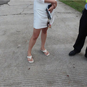 ����Ů˾������Ь����