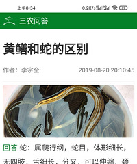 好片推荐《白蛇2:青蛇劫起》 没想到国产动画片拍的那么好!