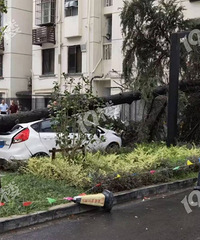 �콵�������׳�̫���ˡ�