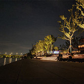 ���Ϻ���ҹ������