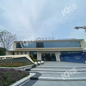 ��������δ���쳽Է