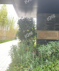 ���˿Ƽ����о�Ȼ������ôһƬ�ƽ𸹵أ�Ta�ǣ�