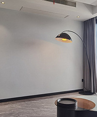 �յ��ֵĵƾͺ���� �о����ÿ���