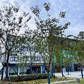 ����·��ͼ���