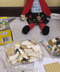 DIY���ָ����������� ���������ֲ�������