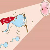 �е���Ů�Ĳ���������