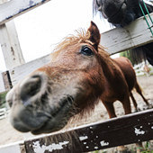 ·������ ����ܶ���