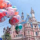 �Ϻ���ʿ����ſ�