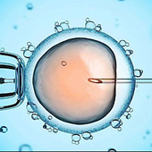 ���Ų�ͬ�������Թ�