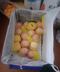 ����׼������� ���˱����Ž�Ѽ �һ�׼�������