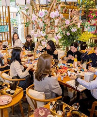 ���������������ļ��������Ѳ廨 �����ԳԺ��ʴ��