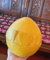 ������͸��Ϲ������� �Ͻ����İ����˰���һ����������