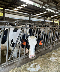 ������ȥ�˶�����ţ������ţ ������ţ�̣�