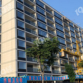 ������ֵ����