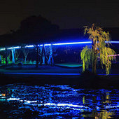 ��ҵ��ĵƹ���