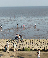 ��������һ���ط� ����̲Ϳ�϶�������ץ�з