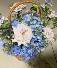 ��ܶ���һ��ѧ���� ��Ʒ��ͩ��¡�۵�5288Ԫ����