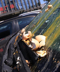 ���ӱ��� Ϊ��й�Ӽ�����