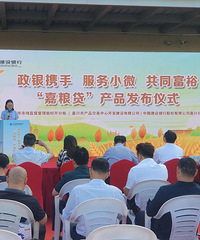 �������� ����С΢ ���м��˷��С�����������ʽ����