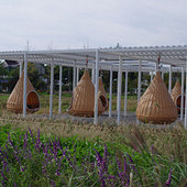 �������-������