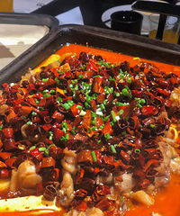 ����6�꿾���ϵ꣡û�뵽ţ��Ҳ���ޣ�