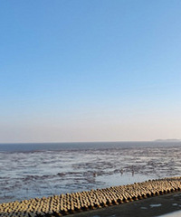 ������� ��������ط��ö��˴���ȥ