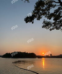 ���飺�����Ͽ�116ƽ��ë�߷� �����ҹҶ������ȽϺ��ʣ�