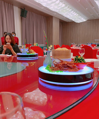 ¡����ϯ�Գ� ������Ĳ廨�γ�