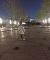 �������乫԰ ��������һ������԰�����ô�Ŀ���