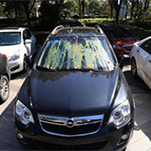 ���ӱ���ס���˼�����