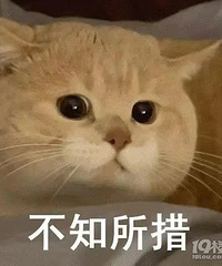 11�·�ȥ�������κ��أ������²�֪��ȥ���� �����Ƽ�