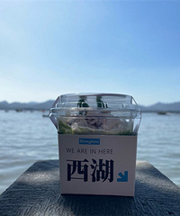 ������һ��������������ͷӿ�� ����Ժ�����