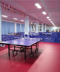 299Ԫ899Ԫ5ڶͯ11ƹγ̣239Ԫƹ򳩴򼾿