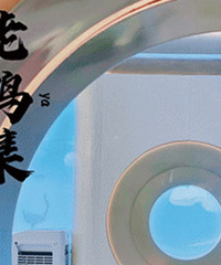 �����̲���һվ���������Ϻ���غ�����Ѽ��